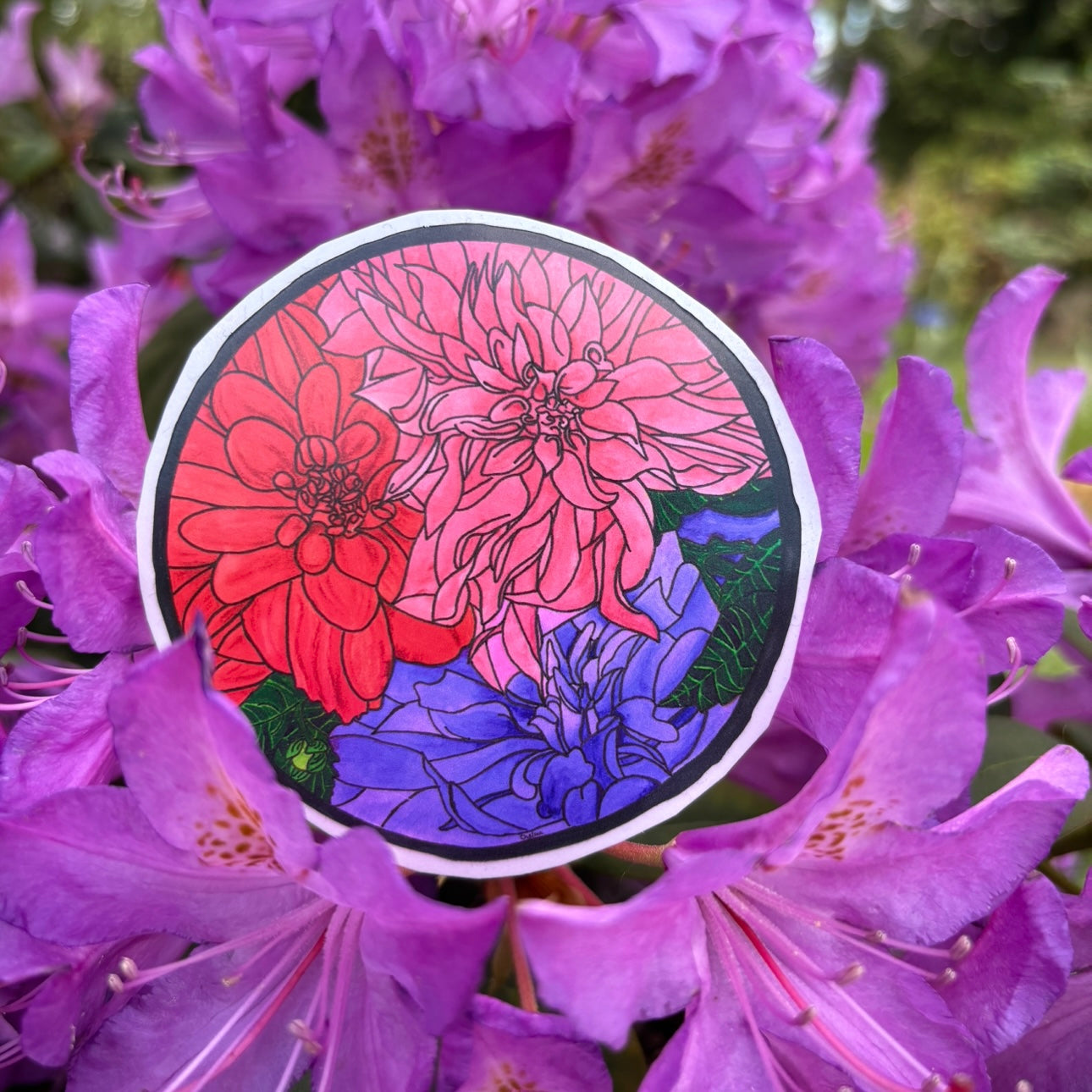 Dahlias Sticker