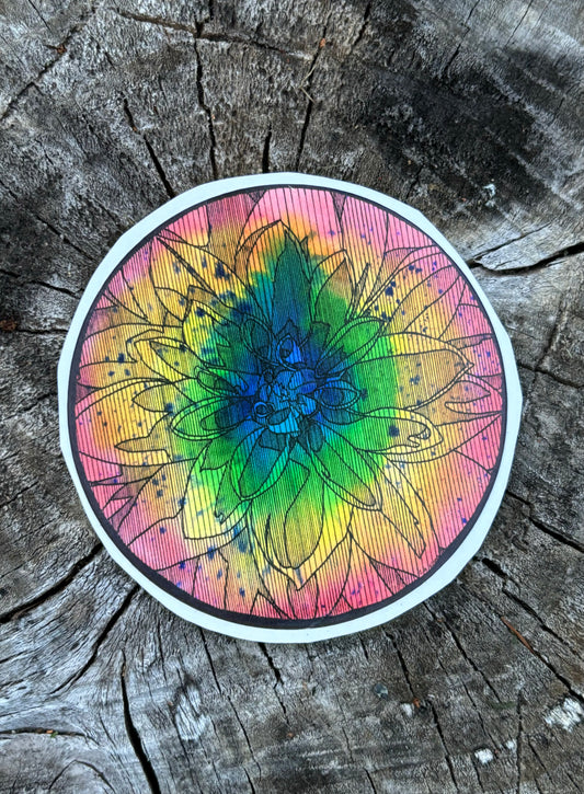 Rainbow Dahlia