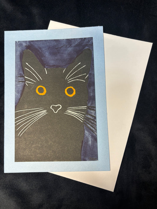 Cleo the Cat